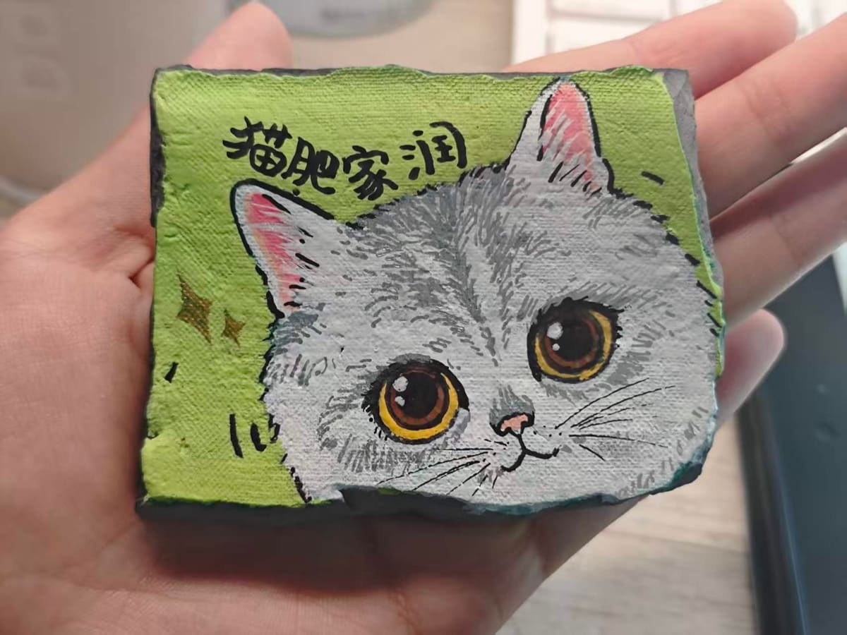银渐层