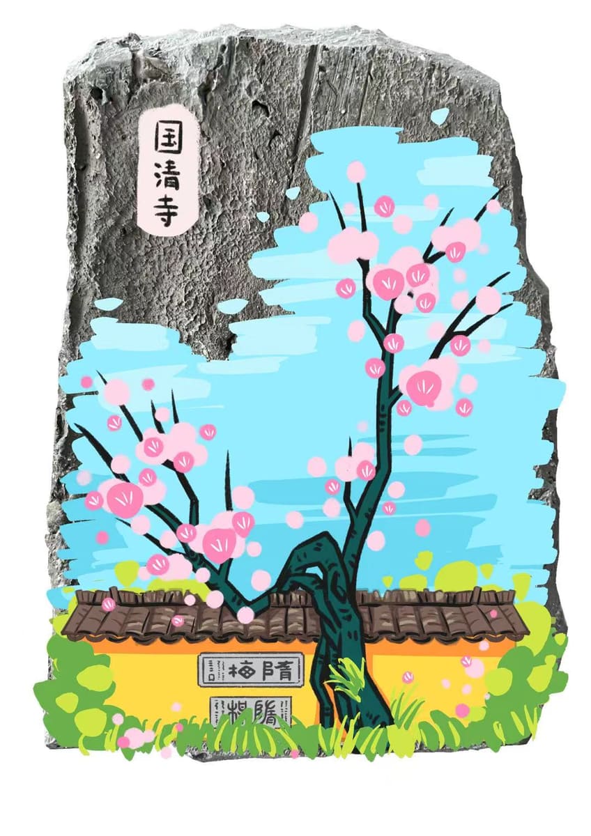 国清寺-隋梅